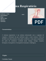 O sistema respiratório: estrutura, funções e divisões