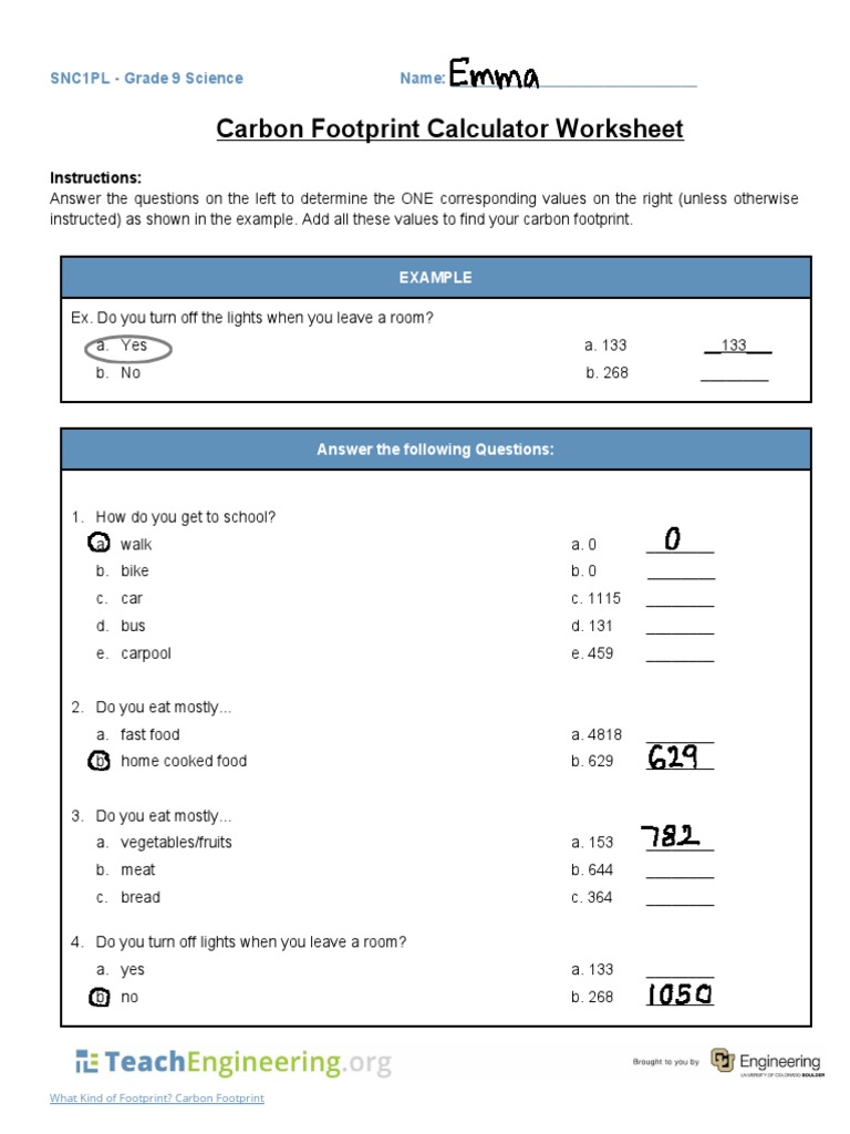 Grade 9 Carbon Footprint Guide | PDF | Carbon Footprint | Natural ...