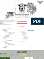 Ordenes Cupressales, Podocarpales y Pinales PDF
