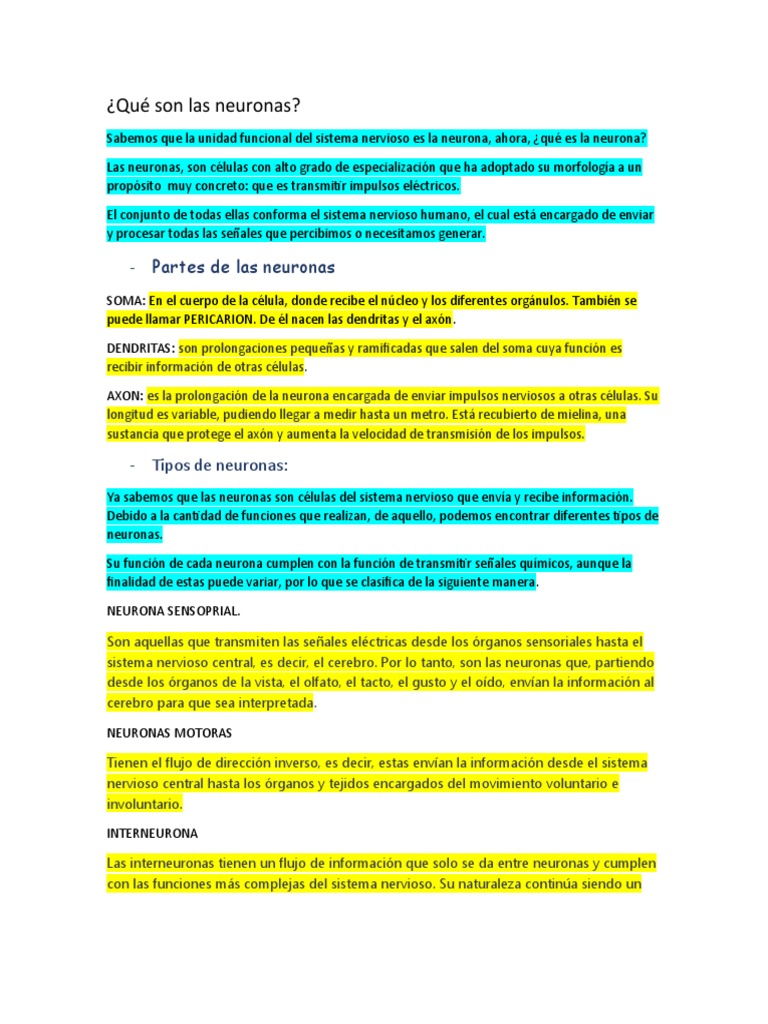 Tipos y funciones de las neuronas | PDF | Neurona | Sinapsis