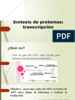 Síntesis de Proteínas Transcripcion