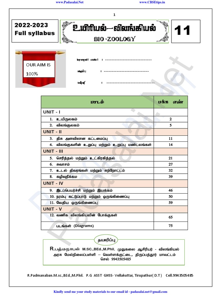 Ordinal Numbers in English – Rules, List, Usage & Examples visual data 3