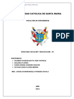 BIOLOGIA MOLECULAR1 - Grupo4 PDF