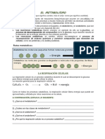 2doBIO Metabolismo PDF