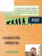 CAUSAS Y FINES DEL DERECHO-2022 (1) .PPSX