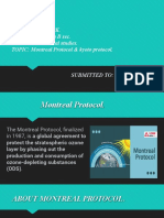 Montreal and Kyoto Protocols Environmental Protocols