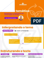 analise-tematica-interagir-mineracao.pdf