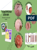 Infecciones de Transmisión Sexual PDF