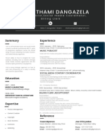 CVs PDF