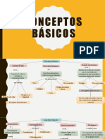 Conceptos Basicos