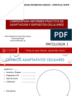 Laminas Practica S2 Patologia Adaptacion y Depositos Celulalres Usmp.