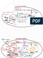 Procesos Biológicos 2 PDF