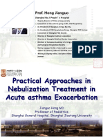 Practical Approaches in Nebulization Treatment in Acute Asthma Exacerbation