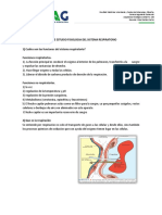 Guia de Estudio Del Fisiologia Sistema Respiratorio PDF