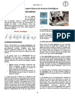 Tipeo 1. Conceptos Básicos Histología (HISTO)