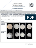 Informe_Laboratorio_Biologia_Division_Celular