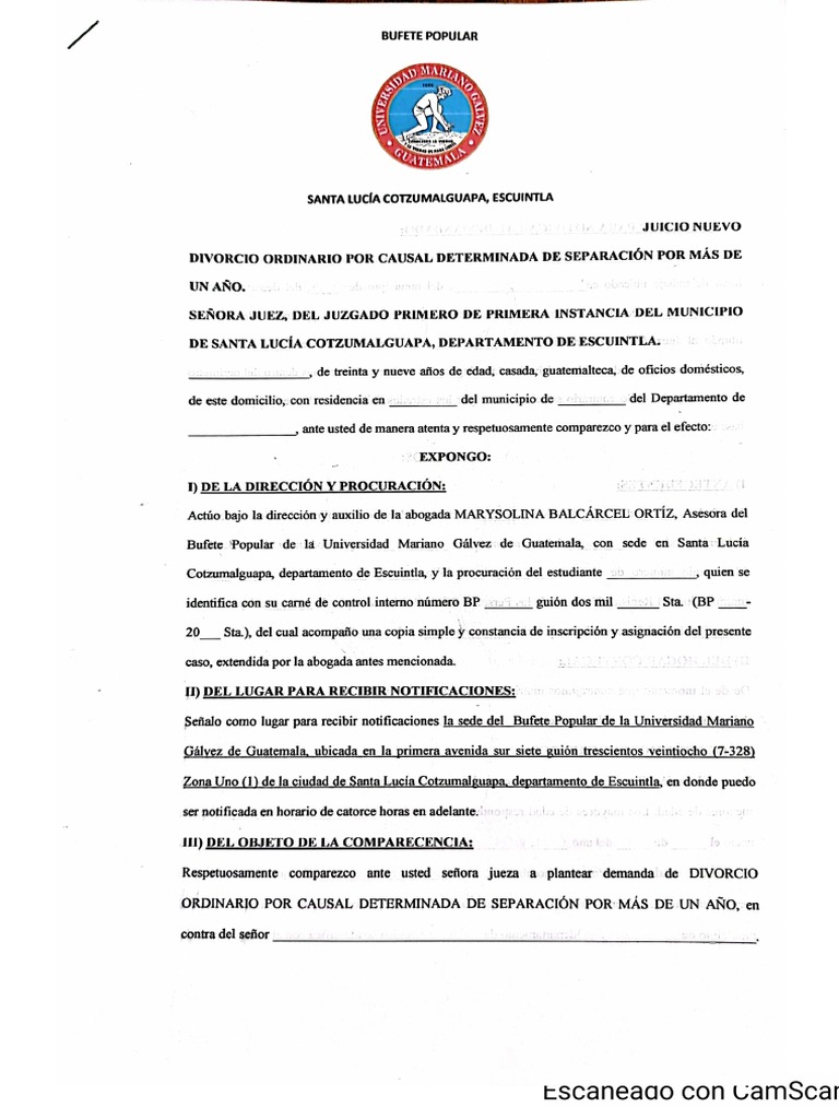 Modelo de Demanda de Divorcio | PDF