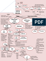 Mapa Conceptual Del Sistema Nervioso 2