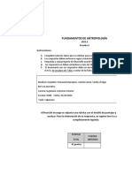 P2 Fundamentos de antropología