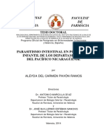 TesisAleyda DEFdic13 PDF