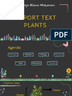 Report Text Plants