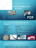 Proyecto Germinación de Semilla