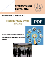 Audiencia Inicial PDF
