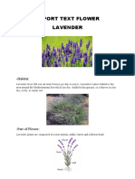 Report Text Lavender