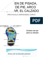 Tipo de Pie, Arco Plantar, Calzado, Protocolo Hernandez Corvo