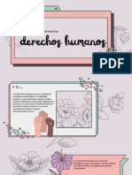 Derechos Humanos