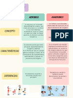 Cuadro PDF