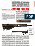 Warszawskie Steny