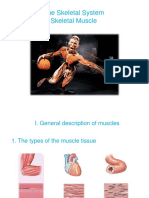 C-3 Myology PDF