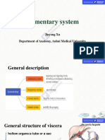 C-4 Alimentary Canal PDF