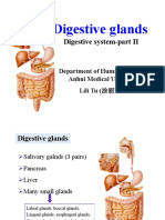 C-5 Digestive System II PDF