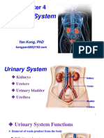 C-6 Urinary System