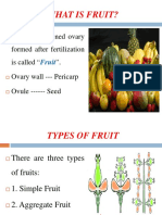 Fruit Morphology & Placentation PDF