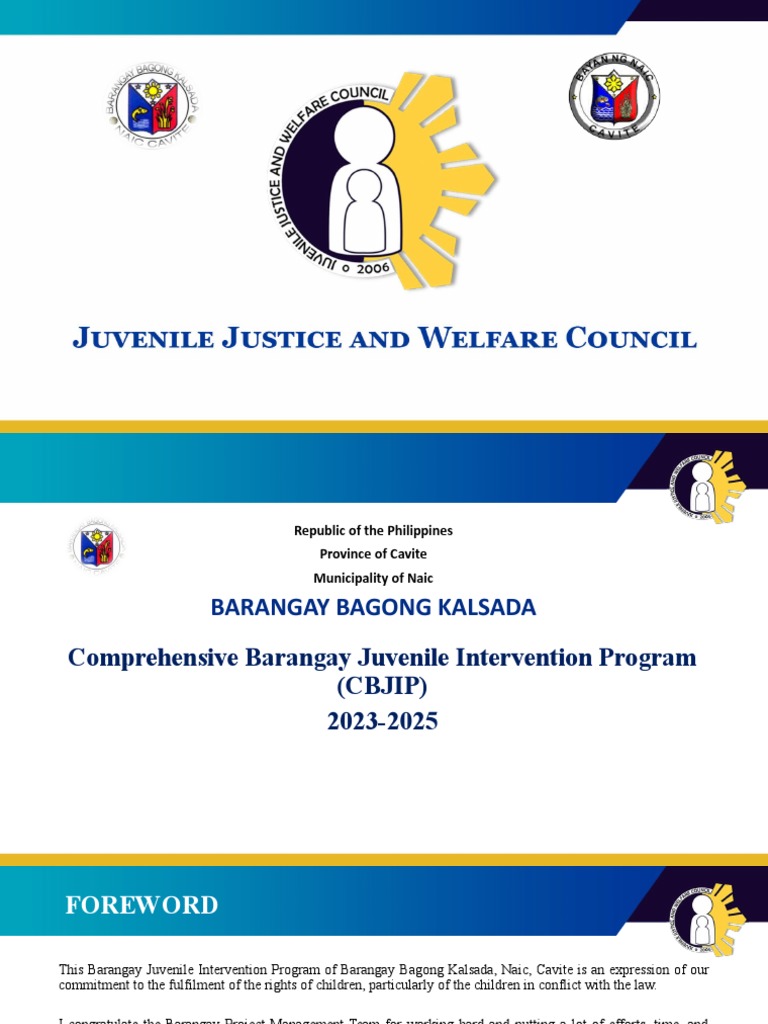 Comprehensive Barangay Juvenile Plan 2023-2025 | PDF | Children's ...