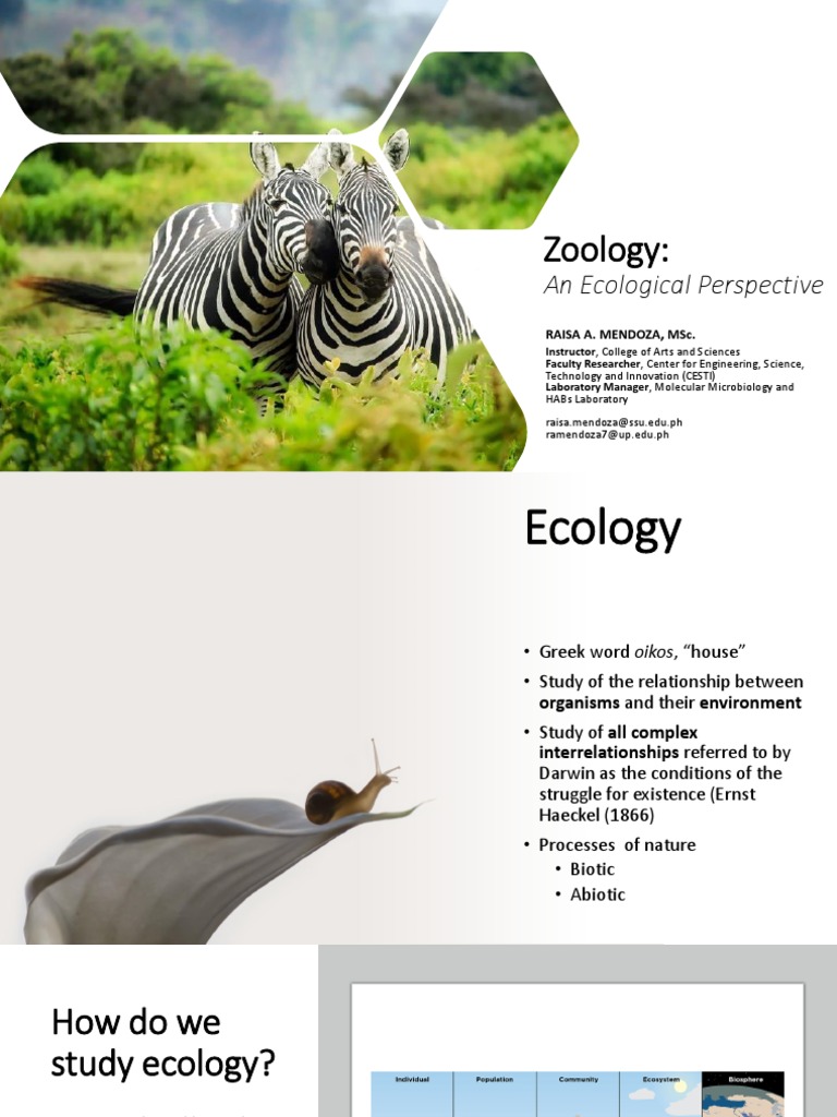 Lecture 2 Zoology An Ecological Perspective PDF Ecology Ecosystem