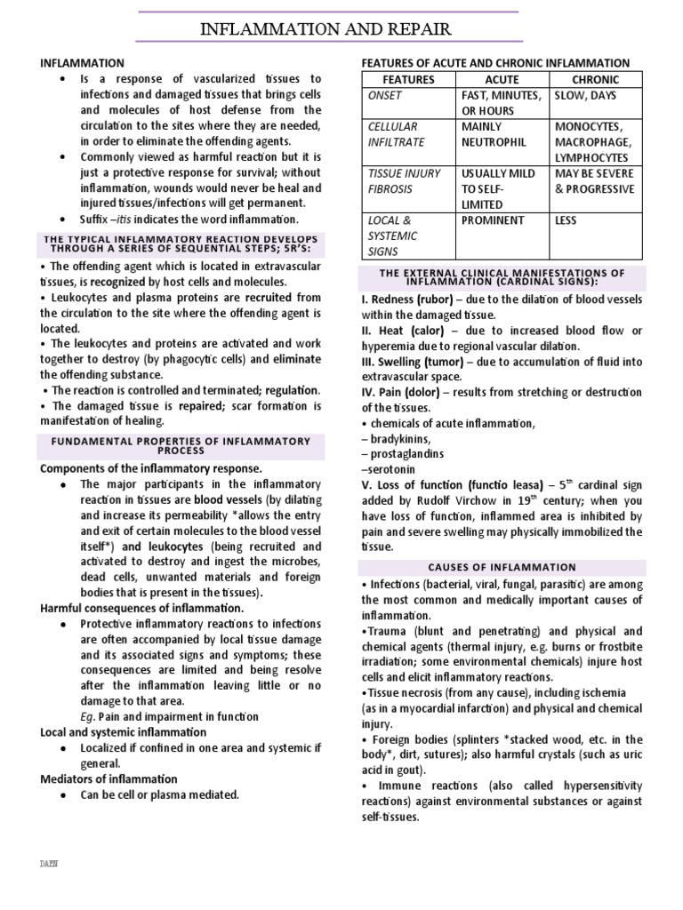 Inflammation and Repair | PDF | Inflammation | Wound Healing
