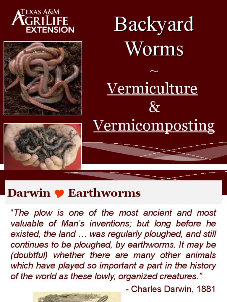 Backyard Earthworms 2014 VM | PDF | Soil | Compost