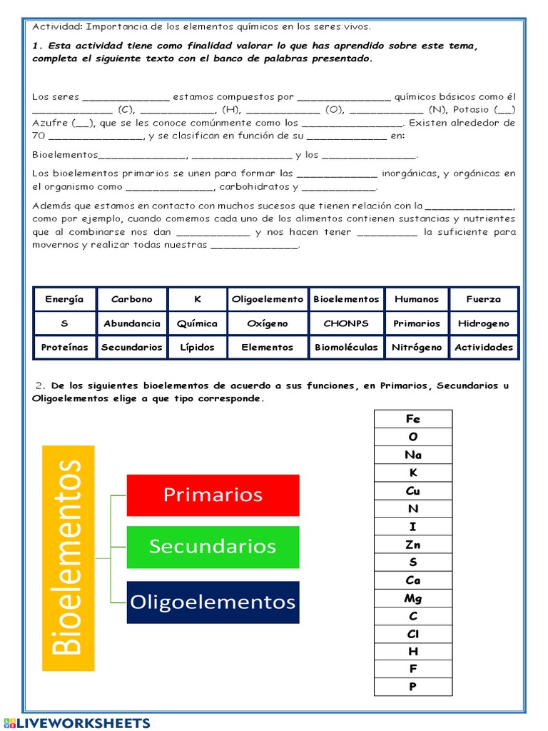 Actividades sobre bioelementos y funciones | PDF | Nutrientes ...