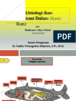 Sheliyana Cahya Oktari - 2114111013 - Anatomi Dalam Ikan