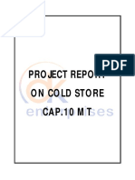 Draft DK Cold Store Project Report