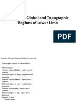 Anatomy Lecture 15 - Anatomoclinical Topographic Regions - Inferior Limb