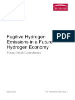 Fugitive Hydrogen Emissions Future Hydrogen Economy
