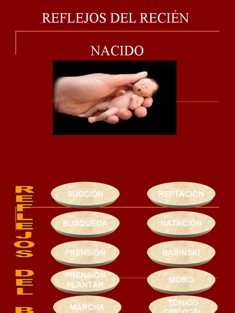 Reflejos Neonatales: Guía Completa | PDF | Anatomía humana