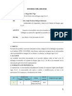 INFORME 005-2019 SPMS - Medidas Correctivas Sobre Algunos Hallazgos