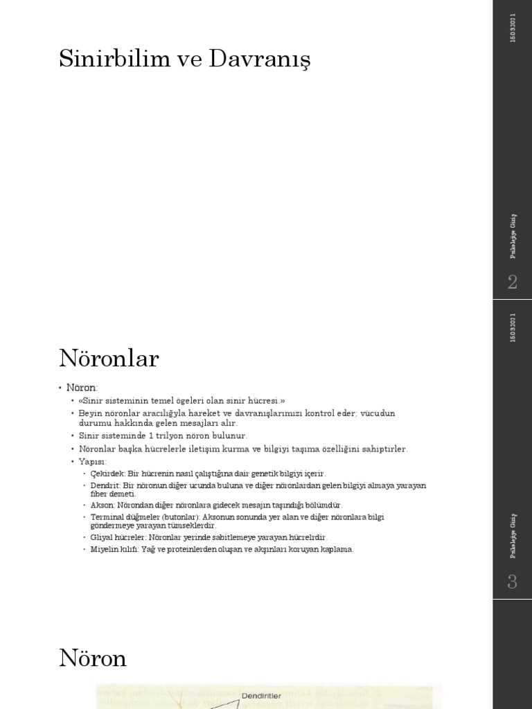 Psikolojiye Giris Hafta 3 Ders Icerigi Pdf