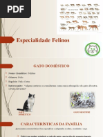 Classificação do Gato Doméstico: Felis Catus | PDF | Gatos | Ecologia